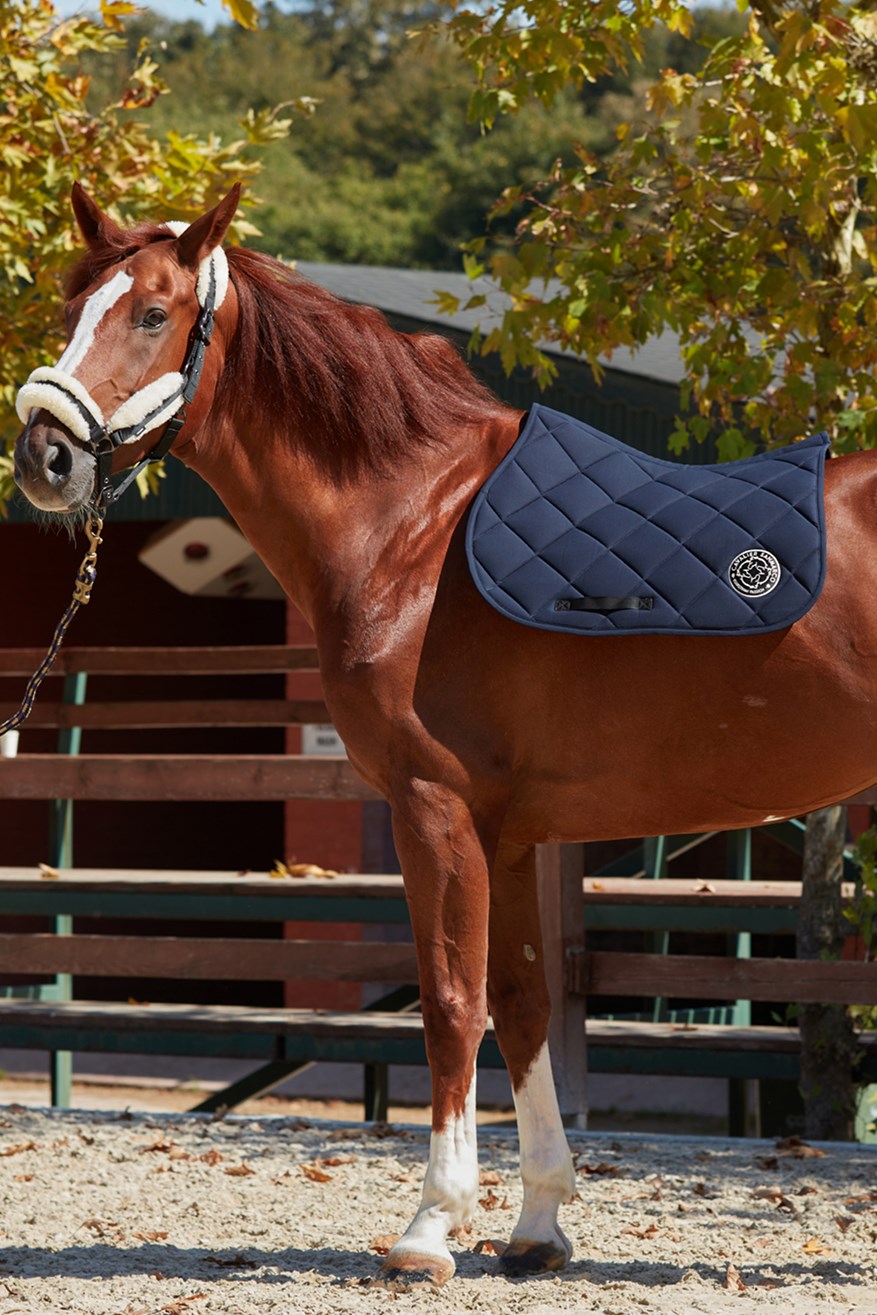 Horse Saddle Pads