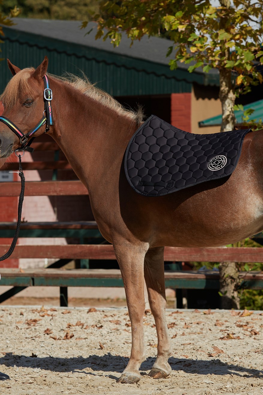 Pony Saddle Pads