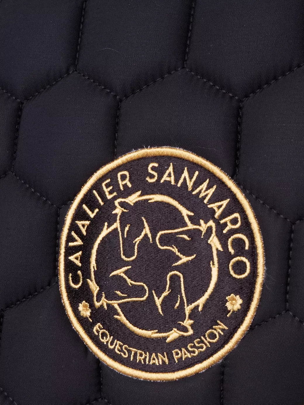 PARIS-P BLACK/GOLD PETEK DESEN PONY EYER ALTI