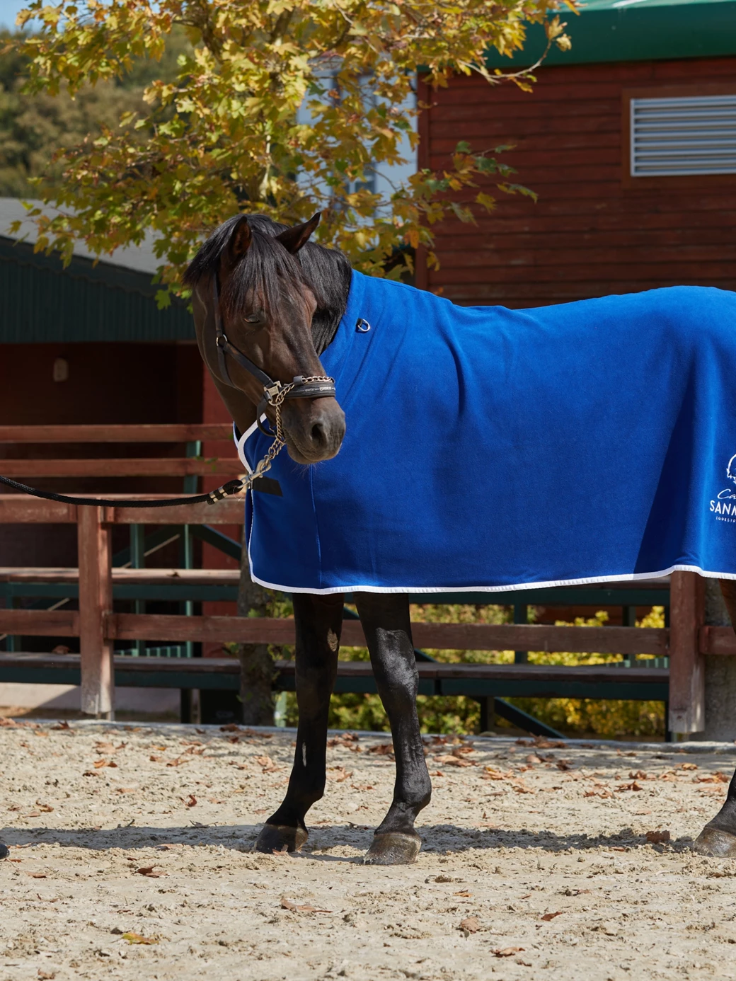 PARIS ROYAL BLUE/BRONZE HONEYCOMB SADDLE PAD