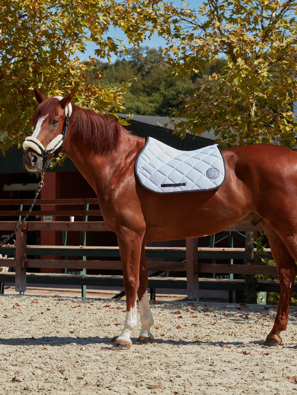 PARIS WHITE HONEYCOMB SADDLE PAD