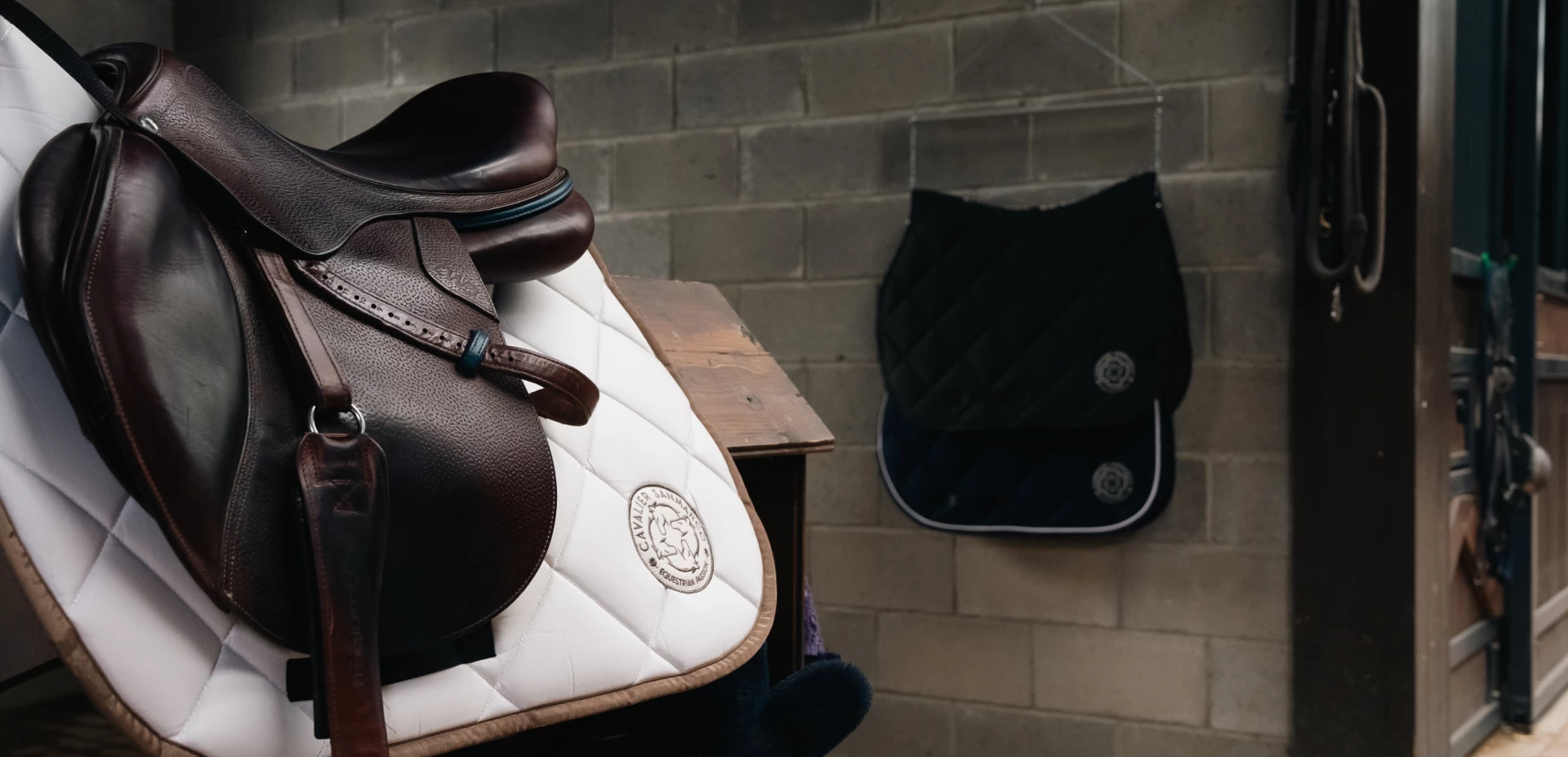 Where Elegance Meets Performance