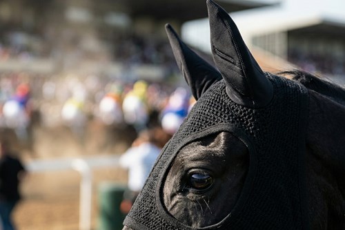 7 Equipment Details That Reduce Stress on Race Day