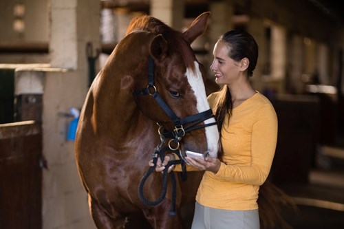 Equestrian Riding and Clothing: Which Material Should You Choose?