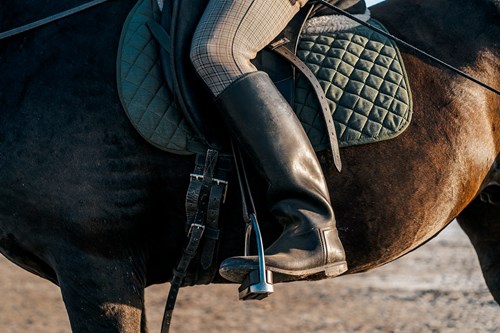 Horse Riding Equipment for Beginners: What Do You Really Need? 