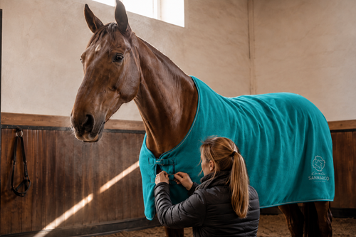 Tipi di Coperte per Cavallo e Caratteristiche: il Ruolo dei Modelli in Pile, da Scuderia e da Esterno