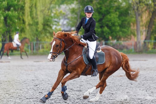 Mandatory Equipment Checklist for the TBF License