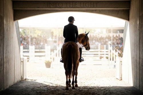 TBF License & Race Day Bag: The Professional Equipment Checklist to End Stress