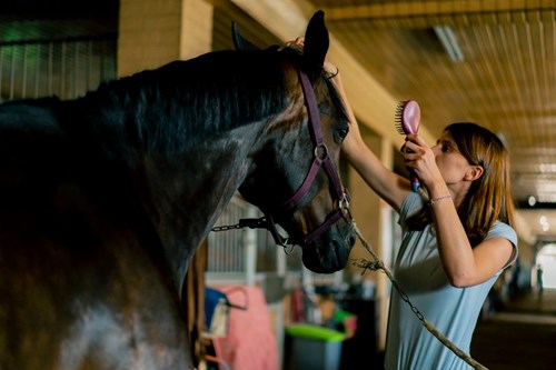 To Clip or Not to Clip? A Practical Winter Coat Management Guide for Every Type of Rider
