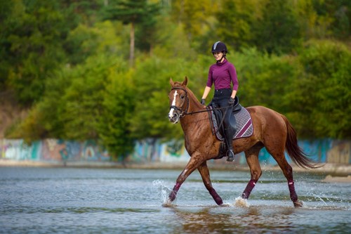 Waterproof vs Water Repellent in Equestrian Textiles: How to Read the Labels