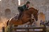 Dressage or Show Jumping? Clothing and Equipment Differences Between the Two Disciplines
