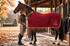 Horse Blanket Season: Navigating the Transition from Fly Sheets to Autumn Rugs
