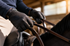 Equestrian Accessories Every Rider Should Own: Essentials for Style and