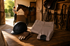 Every Beginner Should Know About Horses Before Their First Ride