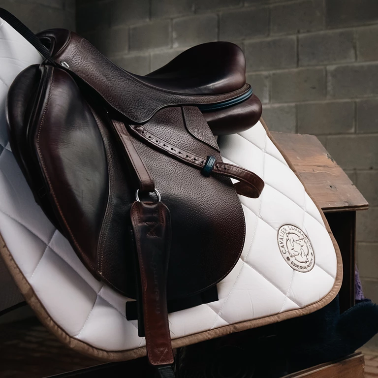 Where Elegance Meets Performance