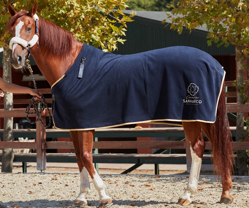 25 anni di passione e competenza equestre