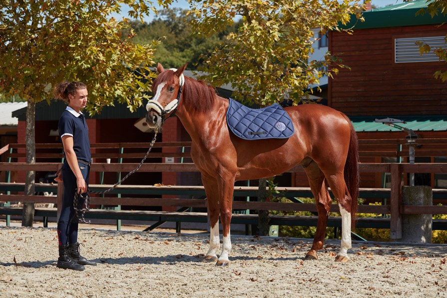 PARIS NAVY/GOLD HONEYCOMB SADDLE PAD