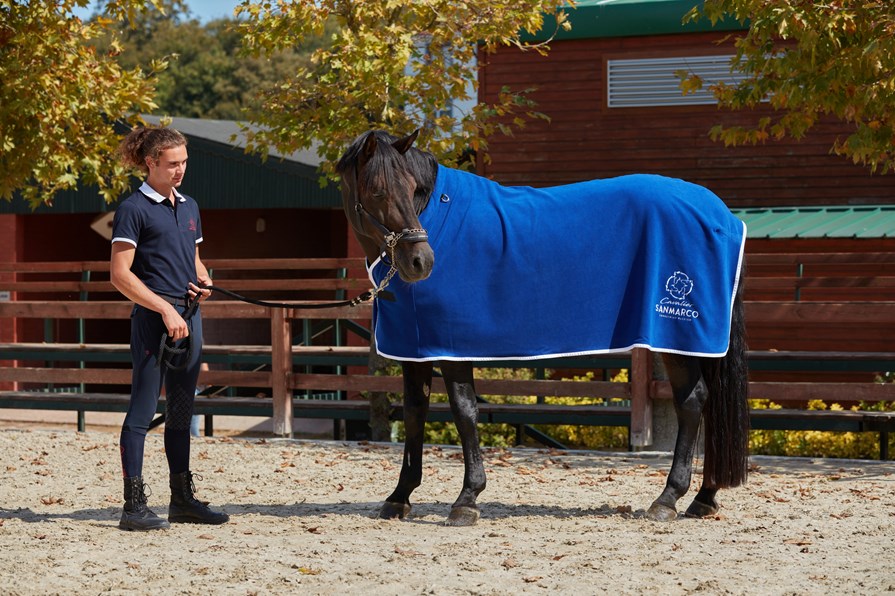 PARIS ROYAL BLUE/BRONZE HONEYCOMB SADDLE PAD