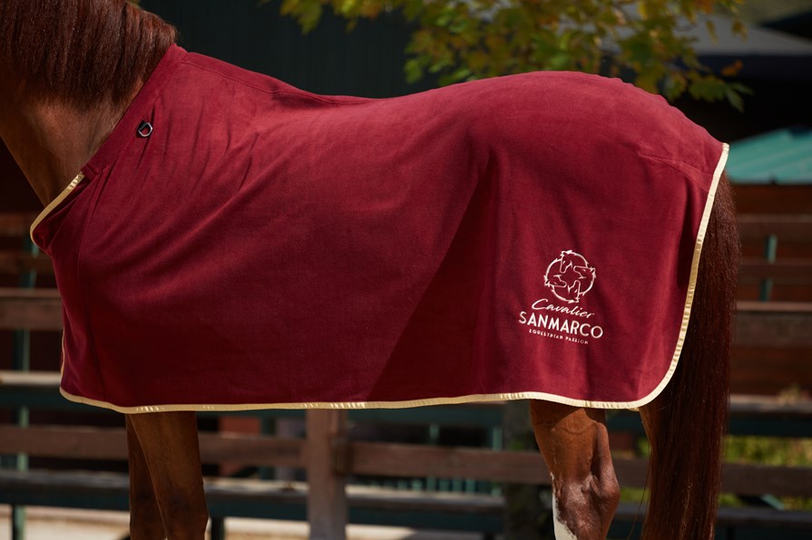TORONTO BORDEAUX/GOLD FLEECE BLANKET