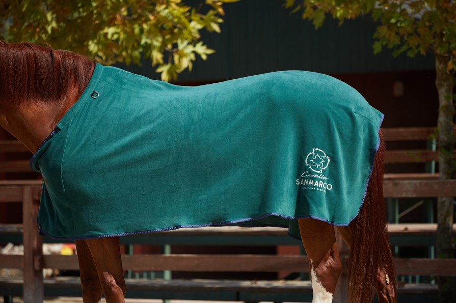 TORONTO GREEN/NAVY FLEECE BLANKET