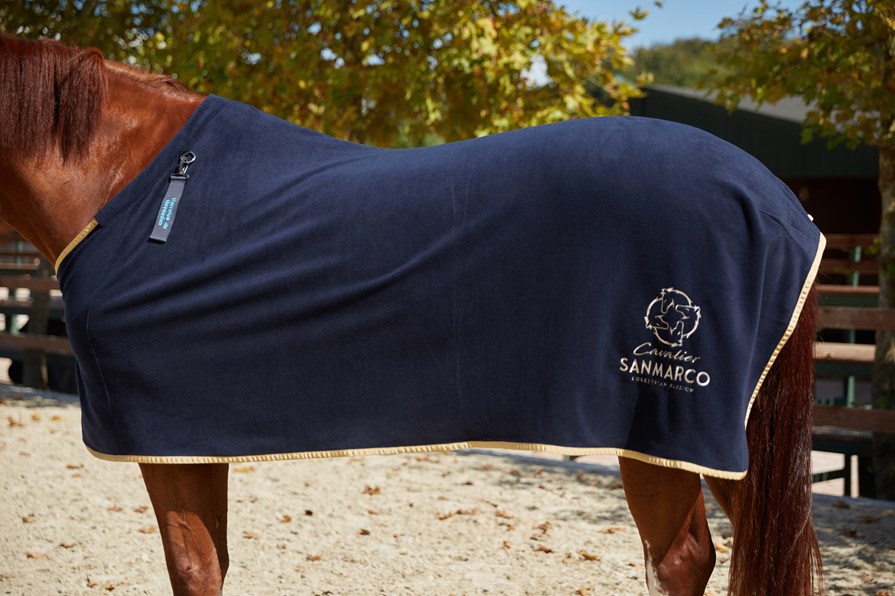 TORONTO NAVY/GOLD FLEECE BLANKET