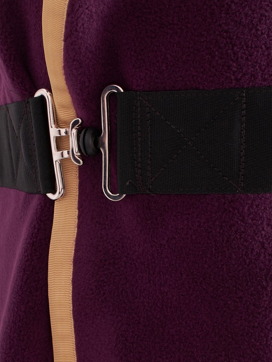 TORONTO-P PURPLE/GOLD PONY - FLEECE BLANKET