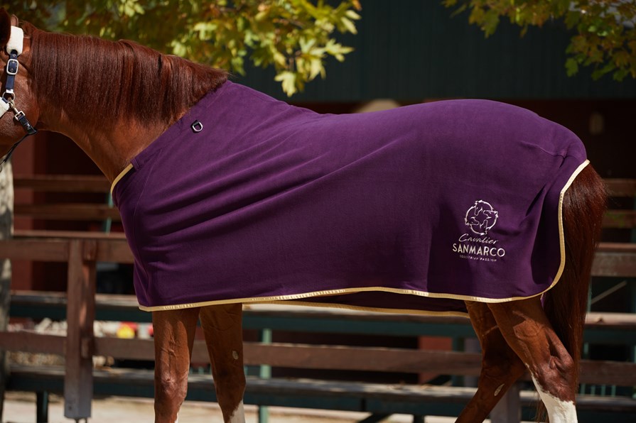 TORONTO PURPLE/GOLD FLEECE BLANKET