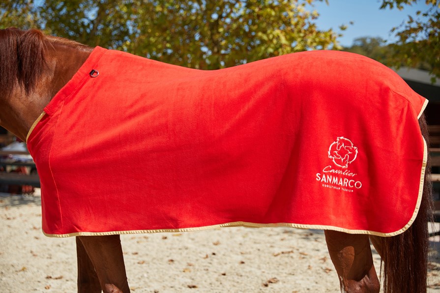 TORONTO RED/GOLD FLEECE BLANKET
