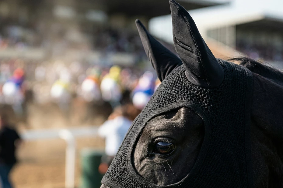 7 Equipment Details That Reduce Stress on Race Day