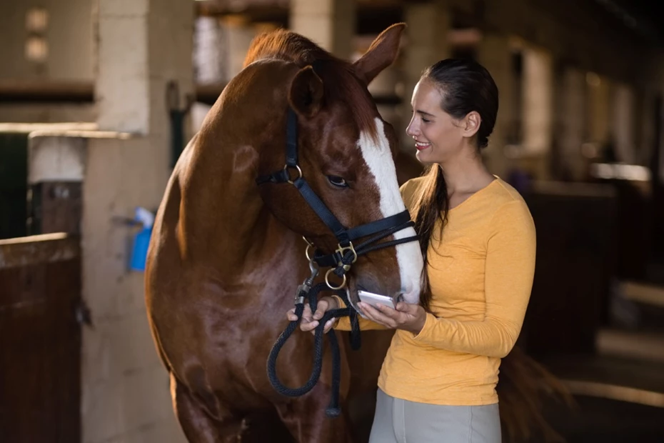 Equestrian Riding and Clothing: Which Material Should You Choose?
