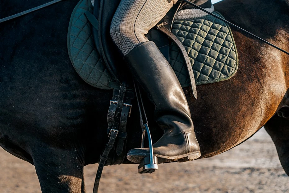 Horse Riding Equipment for Beginners: What Do You Really Need? 