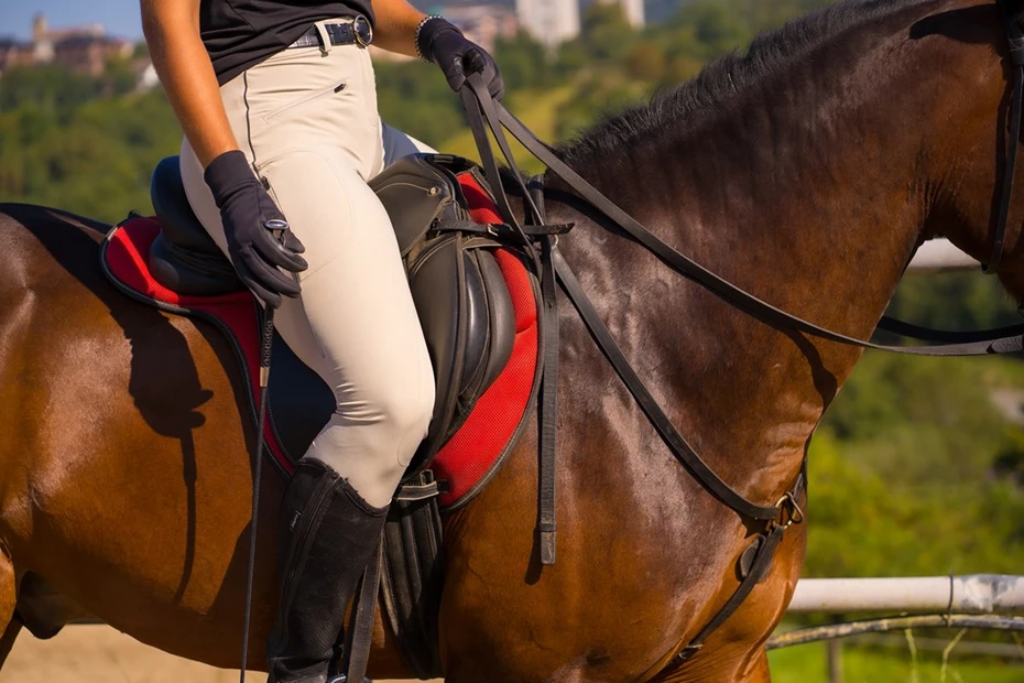 Leggings or Breeches? How to Choose the Best Riding Pants for Your Discipline 