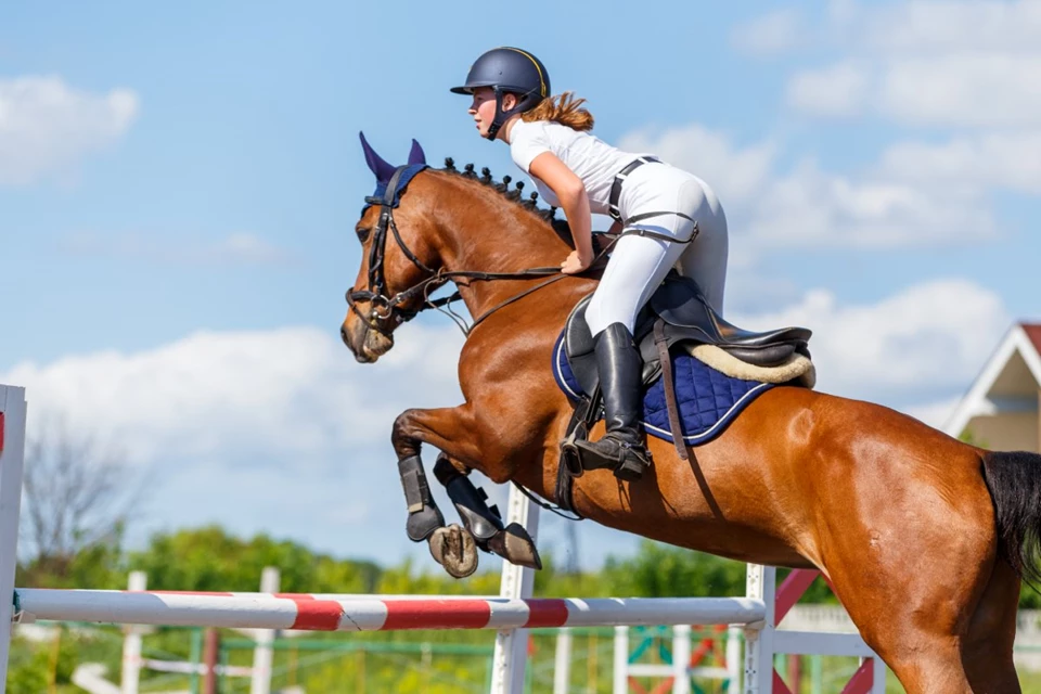 Cos'è l'Equitazione? Uno Sport Dove l’Eleganza Incontra la Disciplina