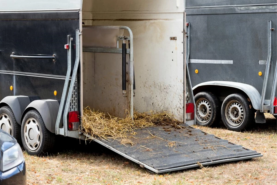 Stress-Free Horse Transport Checklist for Races and Long Trips 