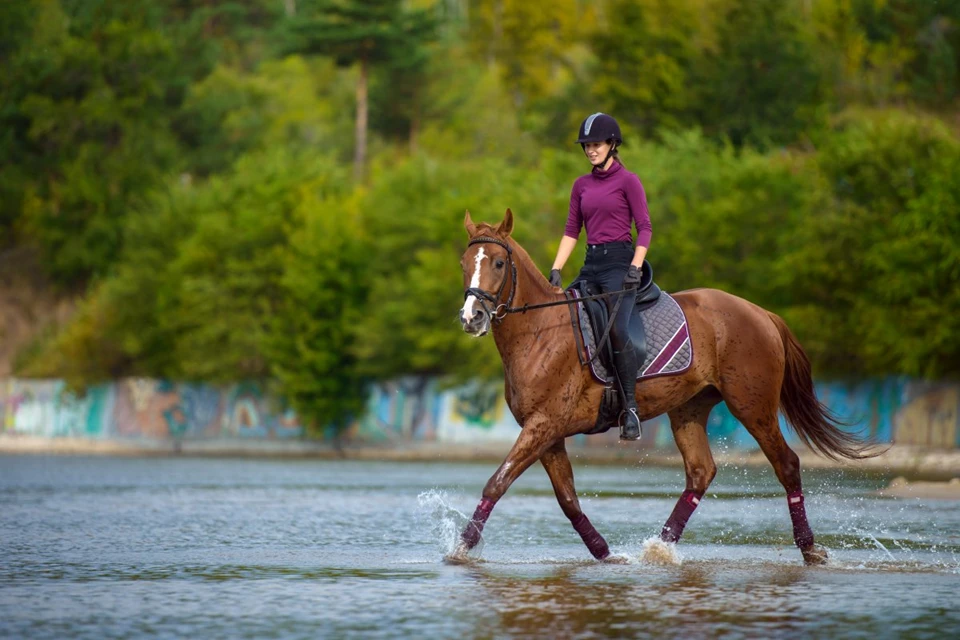 Waterproof vs Water Repellent in Equestrian Textiles: How to Read the Labels