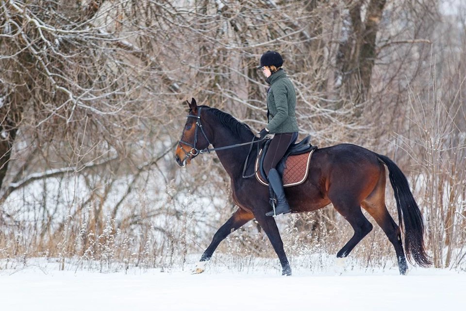 Winter Riding Wardrobe for Women: Essential Equestrian Clothing for Cold Days