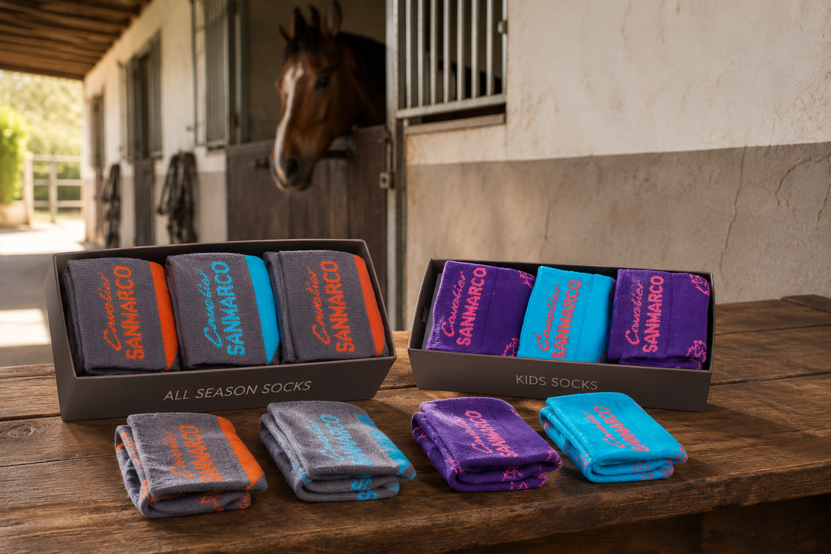 Equestrian Riding Socks Guide
